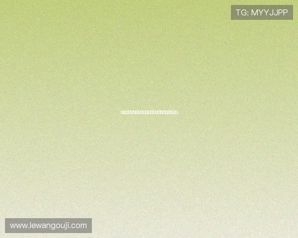 切尔西帕尔默核心化战术对球队进攻层级的影响研究